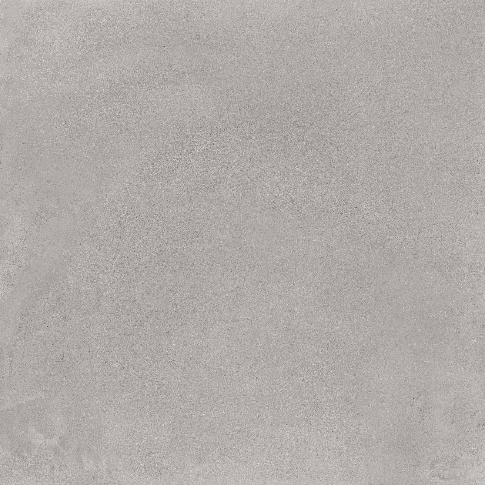 12026
